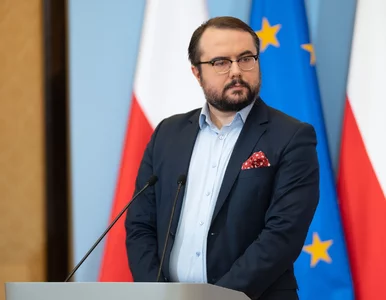 Miniatura: Wiceszef MSZ potwierdza: „Polska bierze...