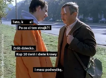 Memy po zapowiedziach o programie "500 plus dla krów" 