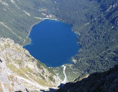 Miniatura: Tatry ponownie otwarte dla turystów. TPN...