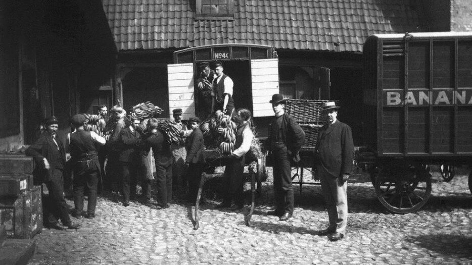 Pierwsza w historii dostawa bananów do Norwegii, 1905 r.