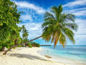 Miniatura: Gdzie w grudniu jest słonecznie? Te...