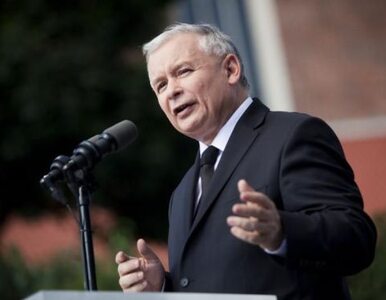 Miniatura: Kaczyński: Sikorski zasłużył na Trybunał...