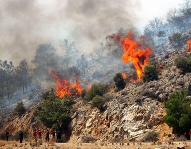 Miniatura: Straszne pożary trawią Portugalię -...