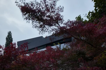 Dom w Pradze naszpikowany sztuczną inteligencją, projekt COLL COLL Linka, COLL COLL, kosmita, smart home, inteligentny dom