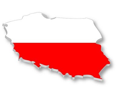 Miniatura: Polska dosknałym miejscem dla...
