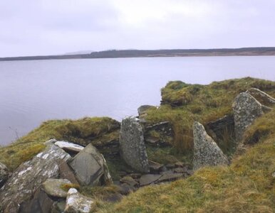 Miniatura: Naukowcy przebadali DNA sprzed tysięcy...