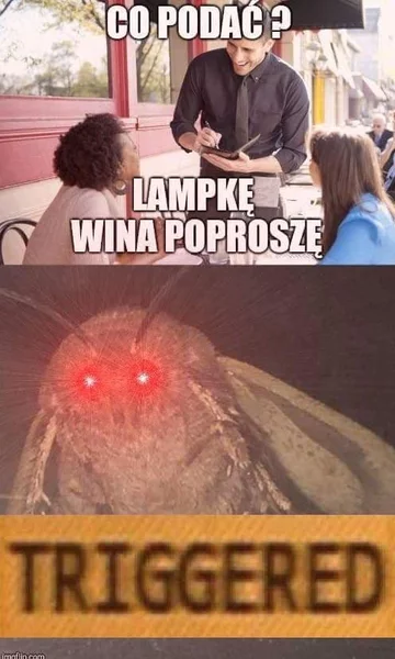 Mem z ćmą 