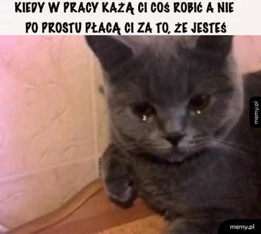 Praca, praca i jeszcze raz praca. Internauci tworzą MEMY