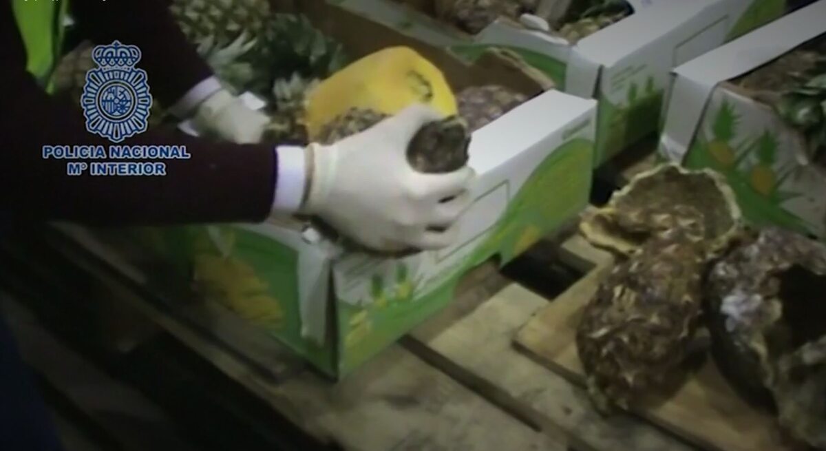 Policja przechwytuje gigantyczny transport kokainy w ananasach 