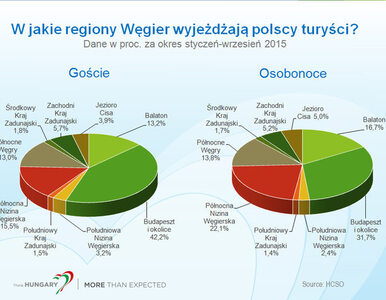 Miniatura: Polacy coraz chętniej wypoczywają na Węgrzech