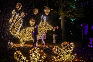 Magiczny Ogr&oacute;d Botaniczny UW