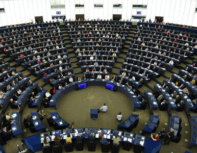 Miniatura: Wybory do Parlamentu Europejskiego. Ile...