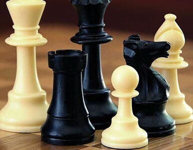 Miniatura: ME w szachach: Wojtaszek zdobył brązowy medal