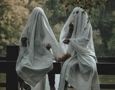 Miniatura: Odprawią mszę, żeby przeprosić za...