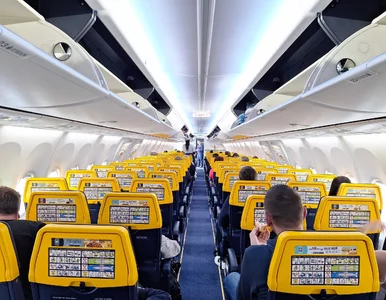 Miniatura: Ryanair traktuje tę przekąskę jak...