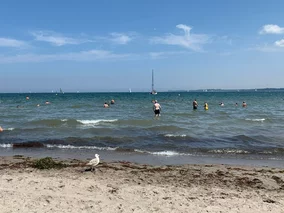Miniatura: Turyści zmarli po kąpieli w Bałtyku. Na...