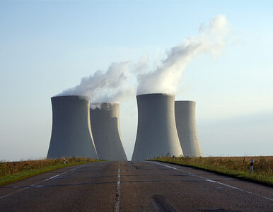 Miniatura: "Rosyjska elektrownia ograniczy...
