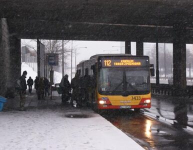 Miniatura: Warszawa: autobus zabił kobietę na pasach