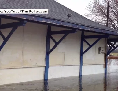 Miniatura: Są tacy, których powódź cieszy...