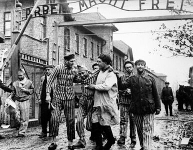 Miniatura: KL Auschwitz zlikwidowano kilka dni przed...