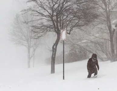 Miniatura: Burze śnieżne w USA zabiły co najmniej 37...