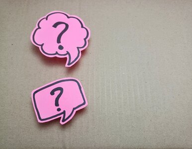 Miniatura: Zaskakujący QUIZ z wiedzy ogólnej. Tylko...