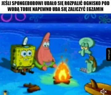 Mem inspirowany serialem „SpongeBob Kanciastoporty” 