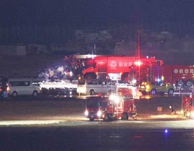 Miniatura: Nowe informacje ws. zderzenia samolotów w...