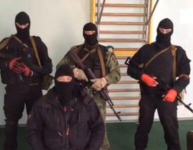 Miniatura: MSZ Rosji: Rozbrojenie powstańców nie jest...