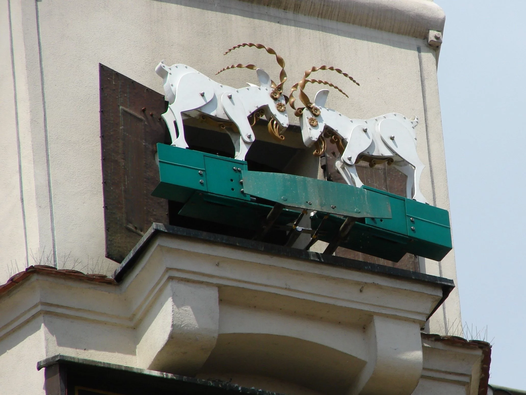 10 pytań z gwary poznańskiej. Wiesz, co znaczą te wyrazy?