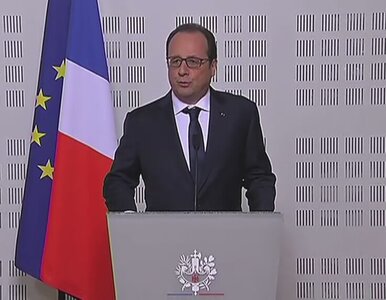 Miniatura: Hollande: Samolot spadł w trudno dostępnym...