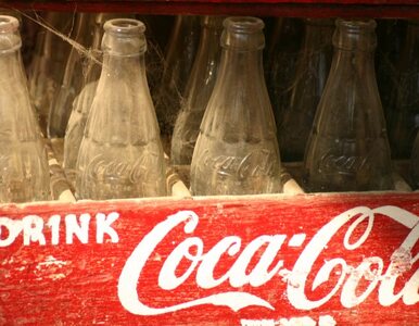 Miniatura: Szef Coca Cola Company o walce z otyłością