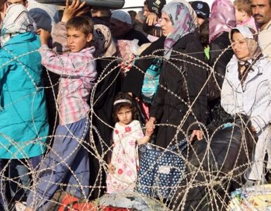 Miniatura: Syryjczycy masowo uciekają do Turcji