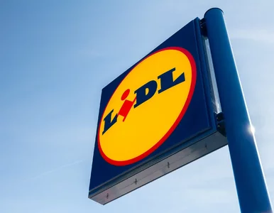 Miniatura: Lidl szuka pracowników. Zarobki nawet do...