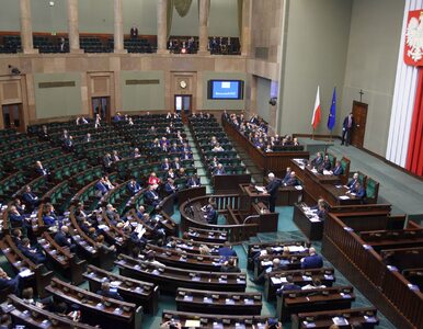 Miniatura: Sejm przyjął ustawę dotyczącą powołania...