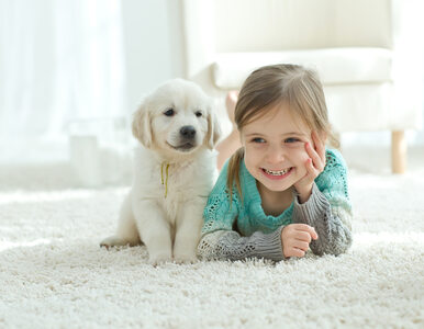 Miniatura: Dzieciństwo spędzone z psem a ryzyko...