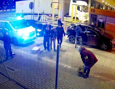 Miniatura: Bracia kradli tylko jeden model aut....