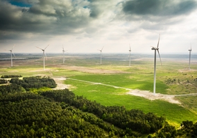 Środowisko pod lupą – PKN Orlen powołuje Radę ds. Klimatu