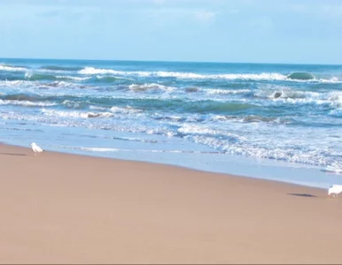 Miniatura: Śmierć turystów na skuterach wodnych....