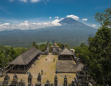 Miniatura: 12-latek poleciał sam na Bali. Wcześniej...