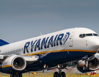 Miniatura: Ryanair z nowymi połączeniami z Polski....