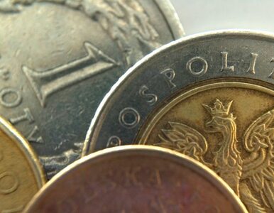 Miniatura: Polska waluta się umacnia. Euro poniżej 4 zł