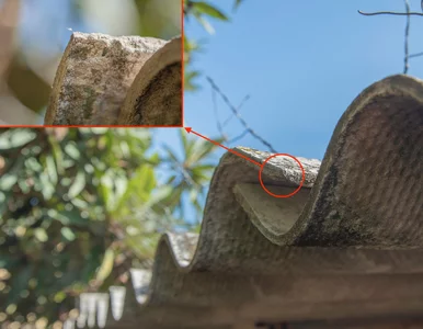 Miniatura: Polacy na lodzie. Trujący azbest usunąć...