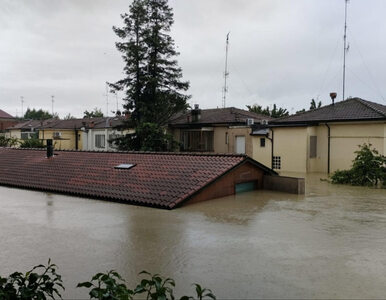 Miniatura: Włoski region dotknięty powodzią....
