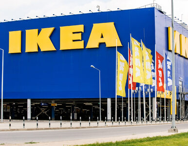 IKEA sprzedaje unikatowe meble. Ich cena zwala z nóg