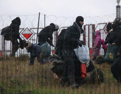 Miniatura: Kryzys na granicy Polska-Białoruś....