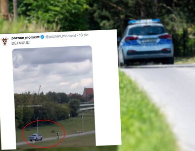 Miniatura: Nieudany pościg radiowozu za hulajnogą na...
