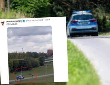 Miniatura: Nieudany pościg radiowozu za hulajnogą na...