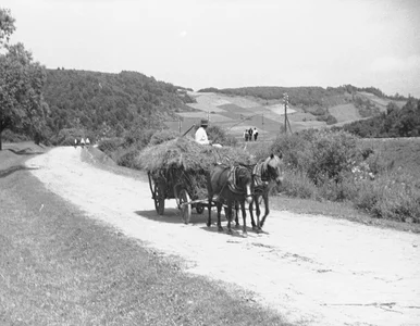 Miniatura: Ile wiesz o życiu na wsi? Spróbuj przebić...