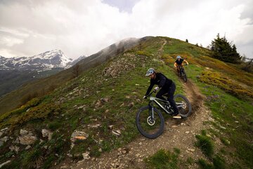 Rower MTB full vs. hardtail